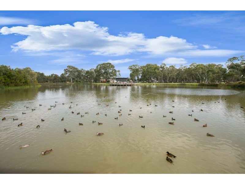 102 Paterson Drive, Lynbrook VIC 3975