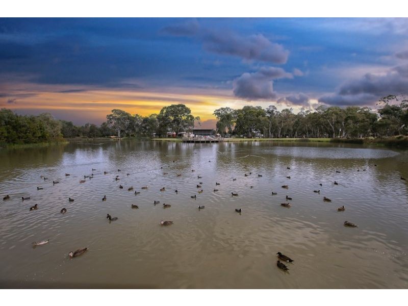 24 Bingham Rise, Lynbrook VIC 3975