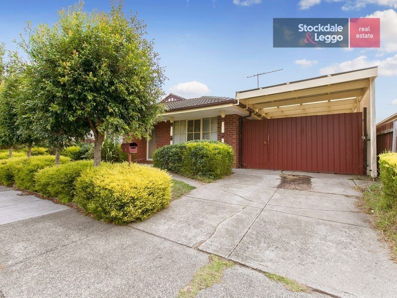 3 Bronhill Court, Cranbourne West VIC 3977