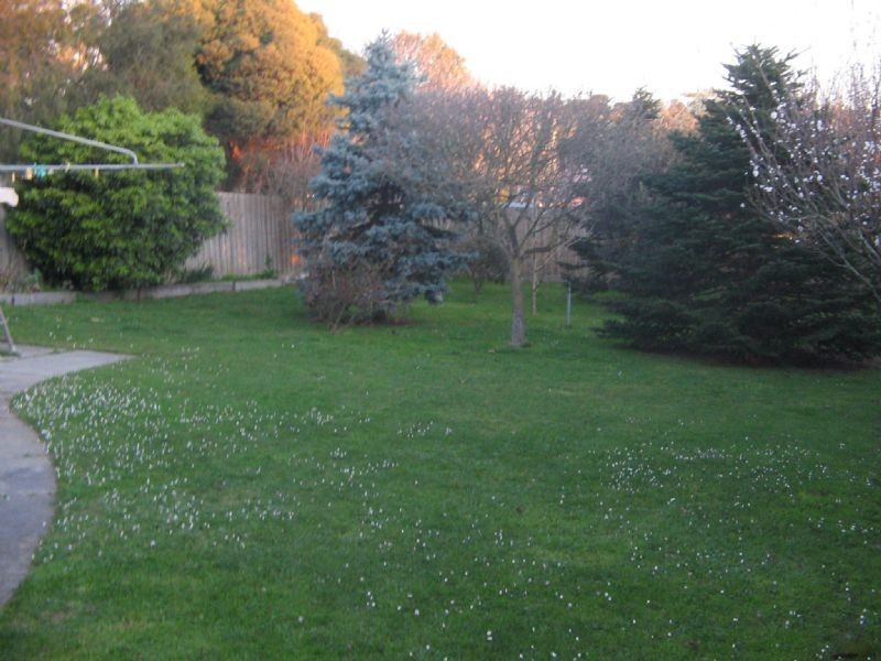 14 Arundel Street, Croydon VIC 3136