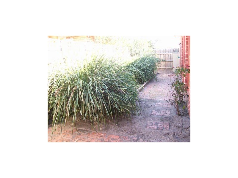 2/62 Lillimur Road, Ormond VIC 3204