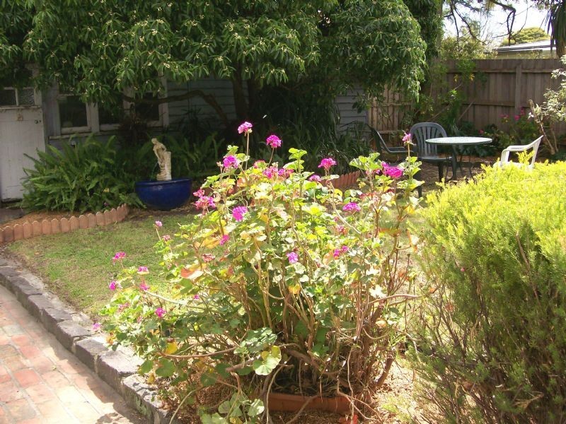 34 Hawson Avenue, Glen Huntly VIC 3163