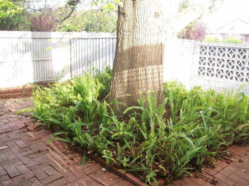 1/9 Park Avenue, Glen Huntly VIC 3163