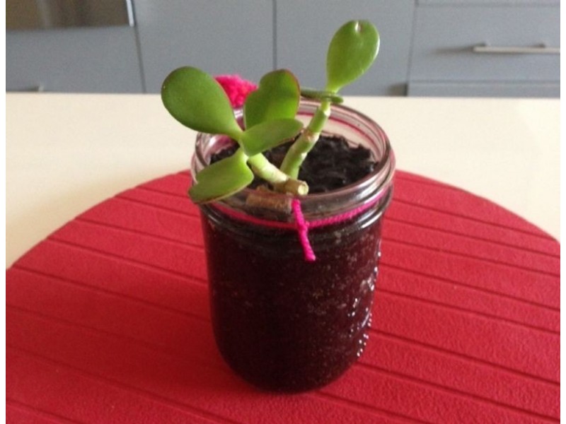 25/115 Neerim Rd, Glen Huntly VIC 3163