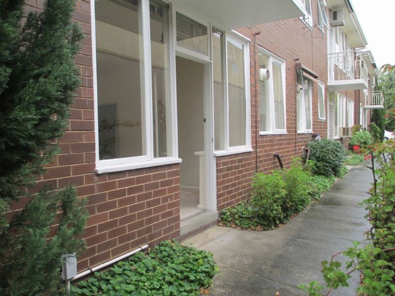 5/559 Glenhuntly Rd, Elsternwick VIC 3185