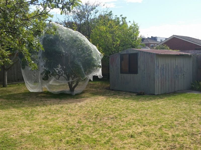 604 Neerim Road, Ormond VIC 3204