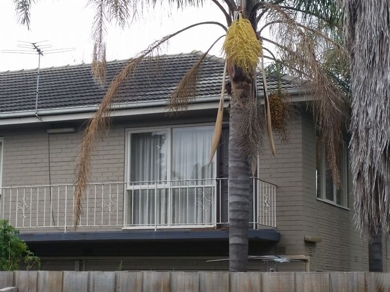 9/5 Hudson Street, Caulfield North VIC 3161