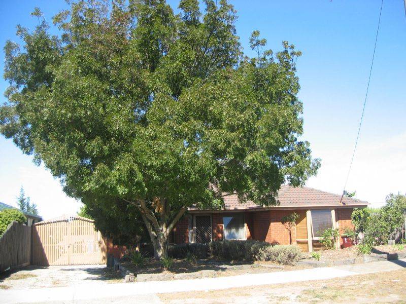 47 Michelle Drive, Hampton Park VIC 3976