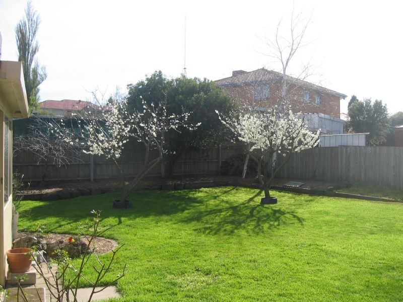 12 Cobungra Court, Hallam VIC 3803