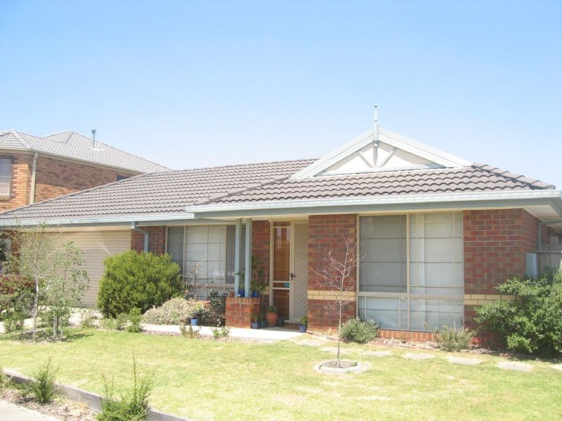 19 Durack Avenue, Lynbrook VIC 3975