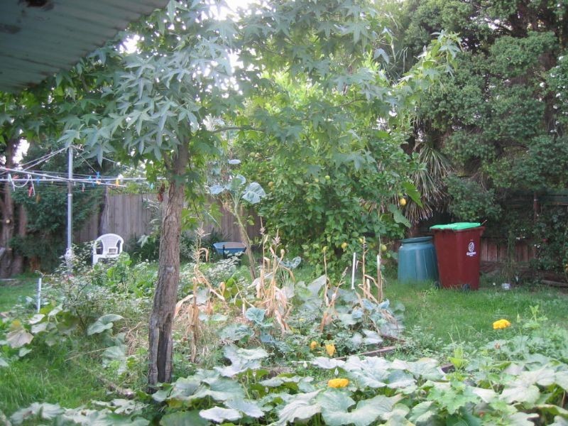 6 Casuarina Court, Hampton Park VIC 3976