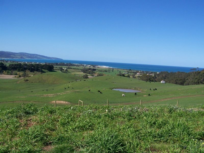 305 Barham River Road, Apollo Bay VIC 3233