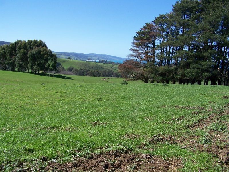 305 Barham River Road, Apollo Bay VIC 3233