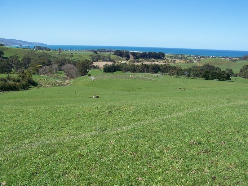 305 Barham River Road, Apollo Bay VIC 3233