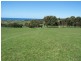 305 Barham River Road, Apollo Bay VIC 3233