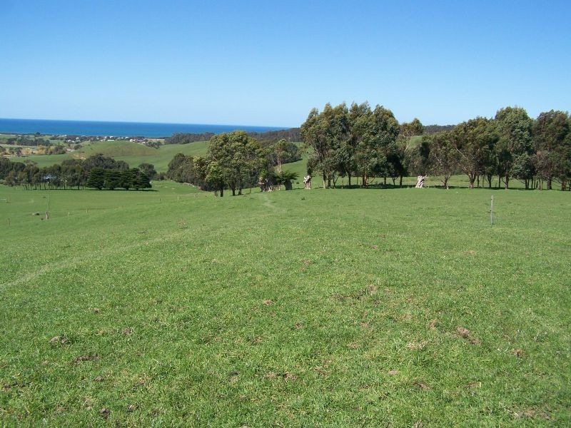 305 Barham River Road, Apollo Bay VIC 3233