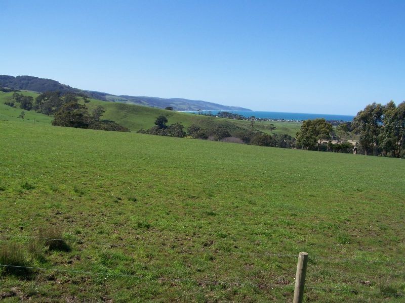 305 Barham River Road, Apollo Bay VIC 3233