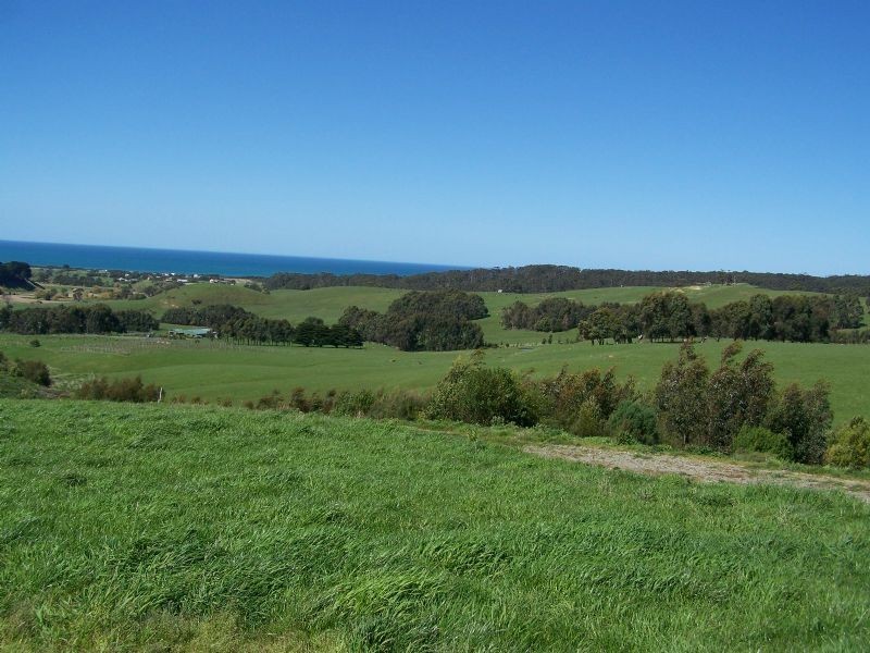 305 Barham River Road, Apollo Bay VIC 3233