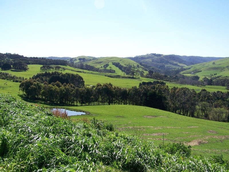 305 Barham River Road, Apollo Bay VIC 3233