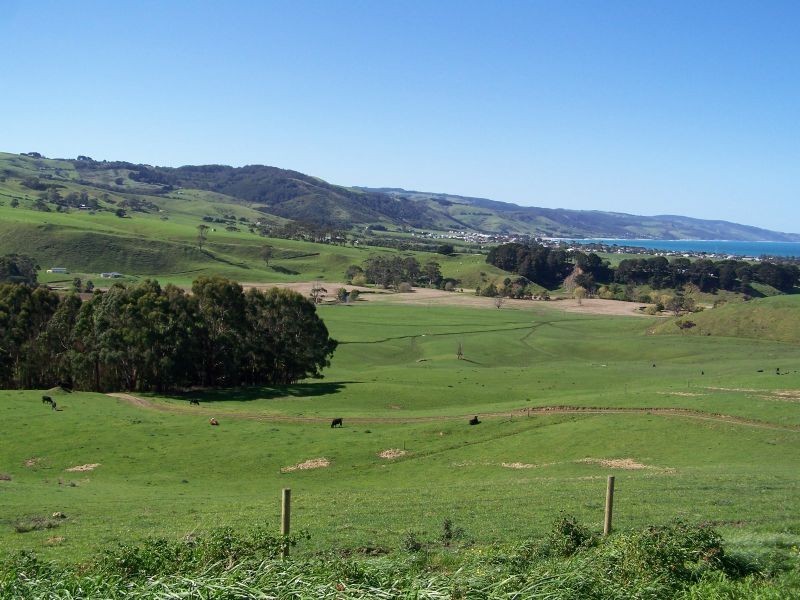 305 Barham River Road, Apollo Bay VIC 3233