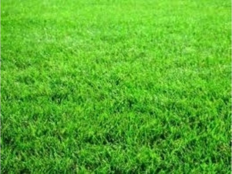 10 Wild Sage Court, Lyndhurst VIC 3975