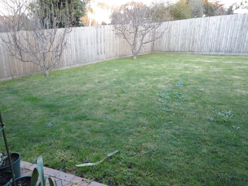 14 Munro Close, Hampton Park VIC 3976