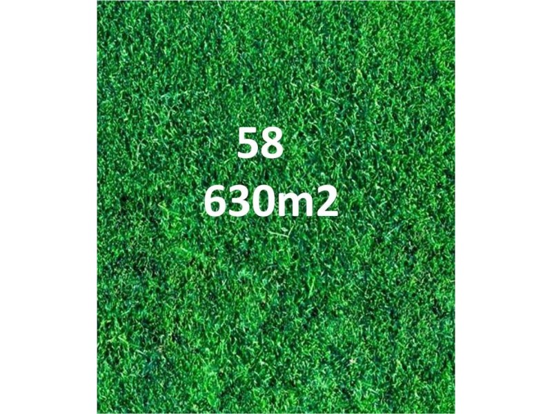 58 Olive Road, Lynbrook VIC 3975