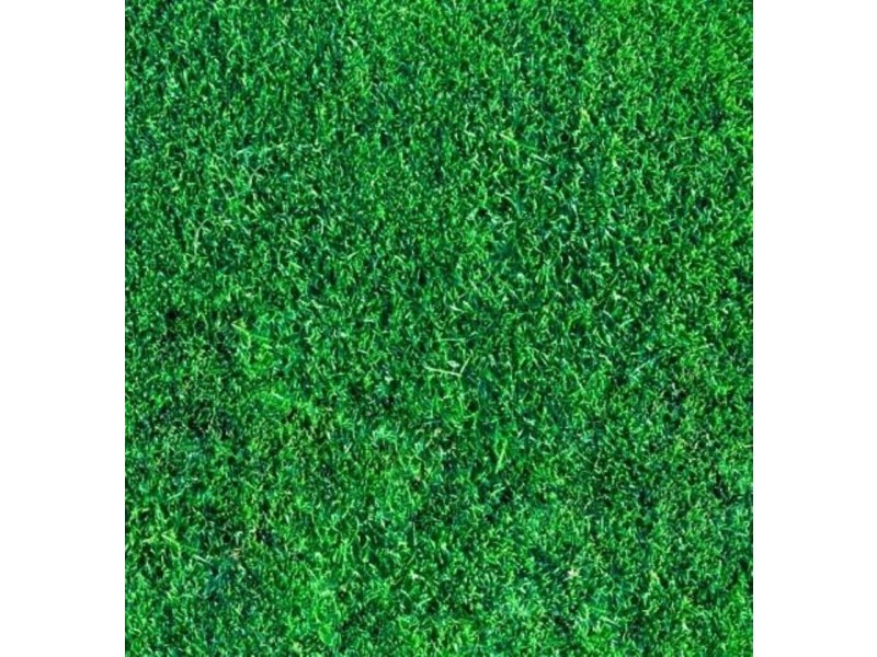 186 Sladen Street, Cranbourne VIC 3977