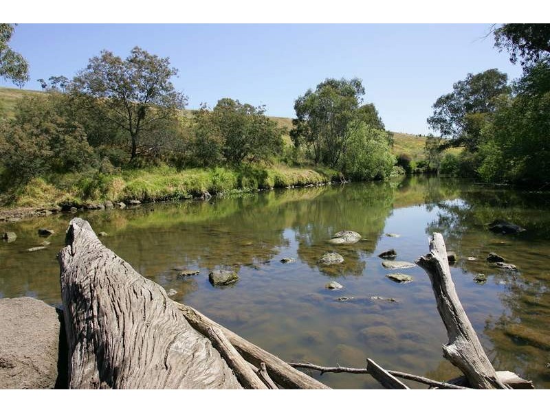 173 Canning Street, Avondale Heights VIC 3034