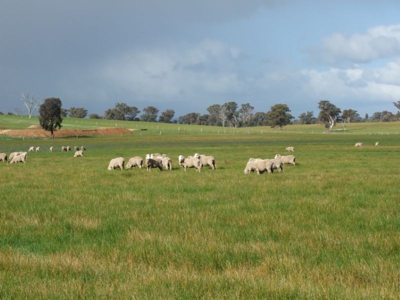 660 Sydney Road, Benalla VIC 3672