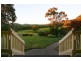 Dixons Creek VIC 3775