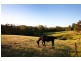 Dixons Creek VIC 3775