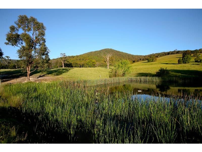 Dixons Creek VIC 3775