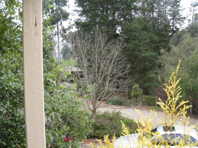 326 Victoria Road, Seville VIC 3139