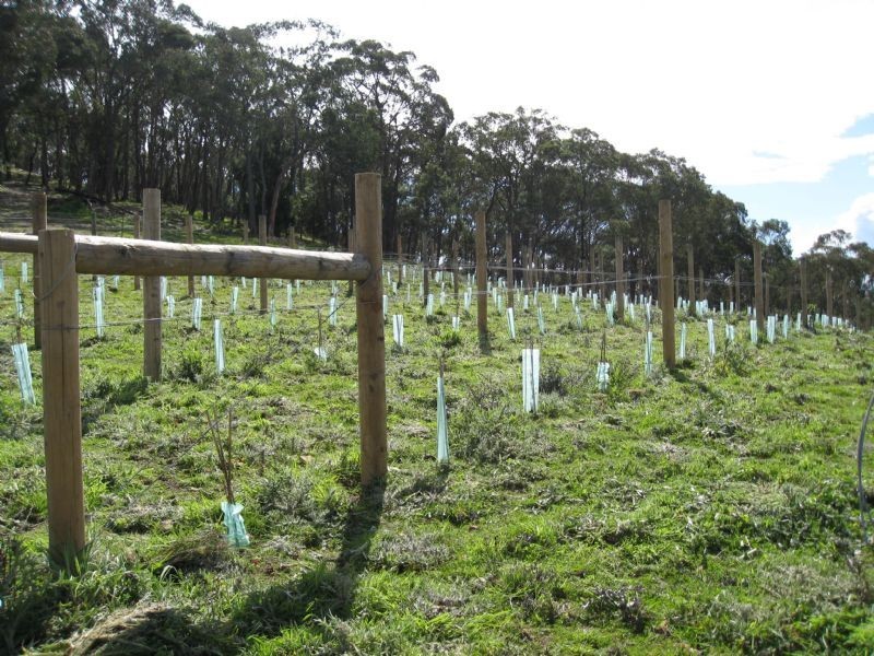 70 Stanton Grove, Lilydale VIC 3140