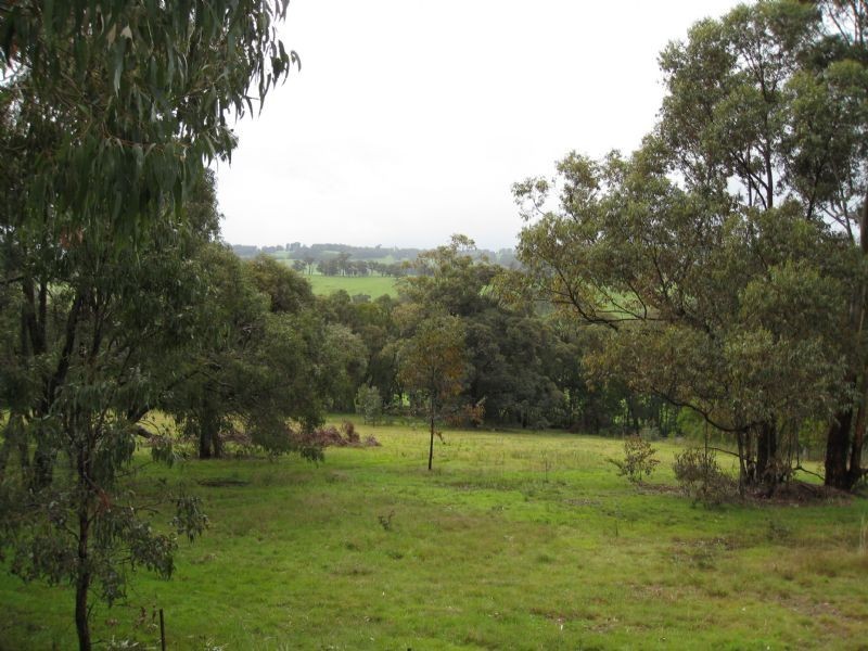 100 Beenak Road, Yellingbo VIC 3139
