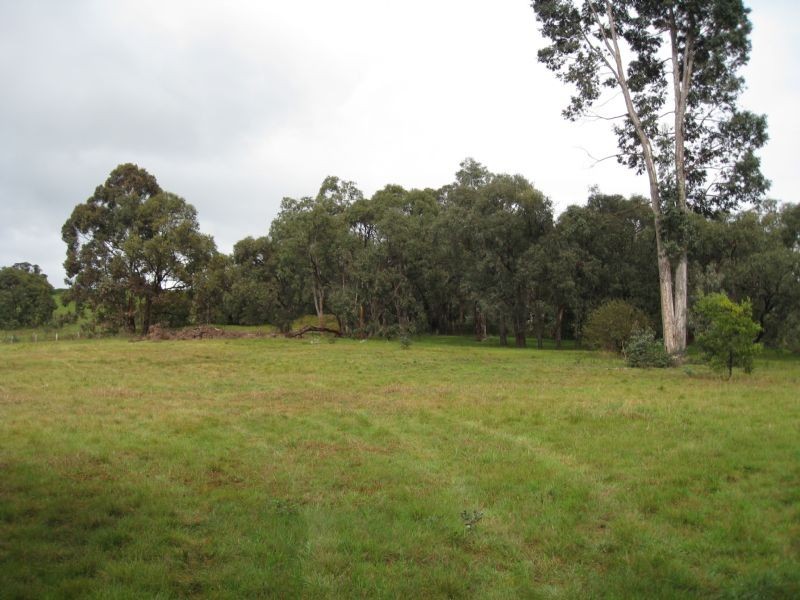 100 Beenak Road, Yellingbo VIC 3139