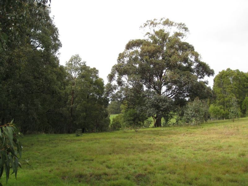 100 Beenak Road, Yellingbo VIC 3139