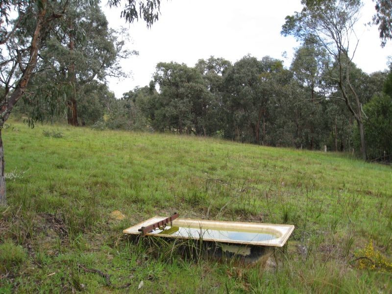 100 Beenak Road, Yellingbo VIC 3139