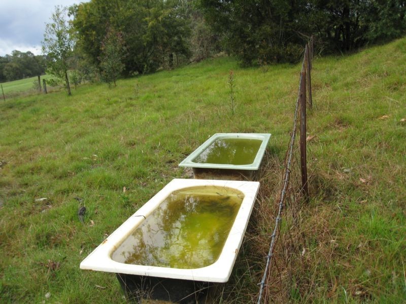 100 Beenak Road, Yellingbo VIC 3139