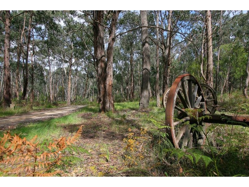 137 Old Gippsland Road, Lilydale VIC 3140