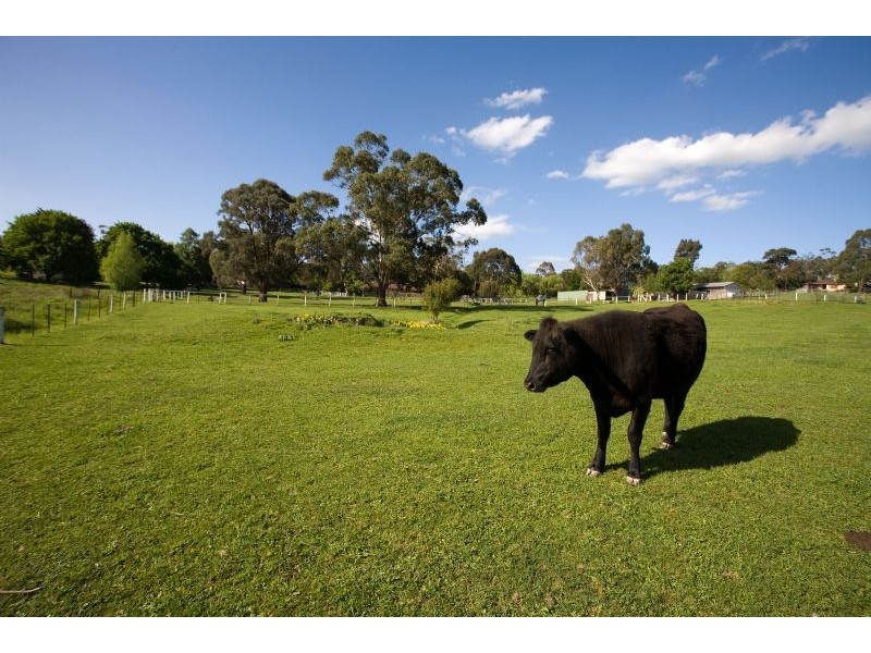 1650 Warburton Highway, Woori Yallock VIC 3139