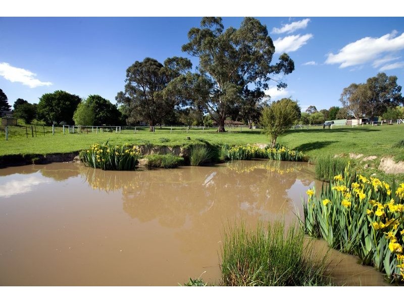 1650 Warburton Highway, Woori Yallock VIC 3139