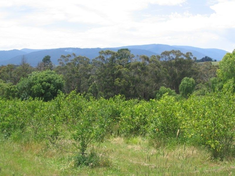 503 Warburton Hwy, Seville VIC 3139