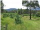503 Warburton Hwy, Seville VIC 3139
