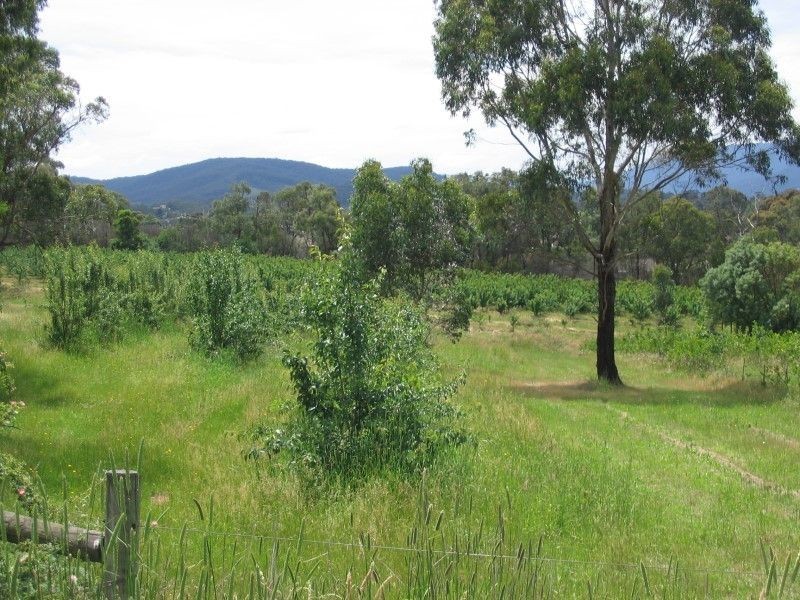 503 Warburton Hwy, Seville VIC 3139