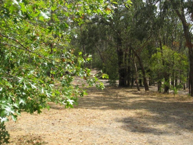 19 Cornelius Cres, Healesville VIC 3777