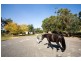 1753 Warburton Highway, Woori Yallock VIC 3139