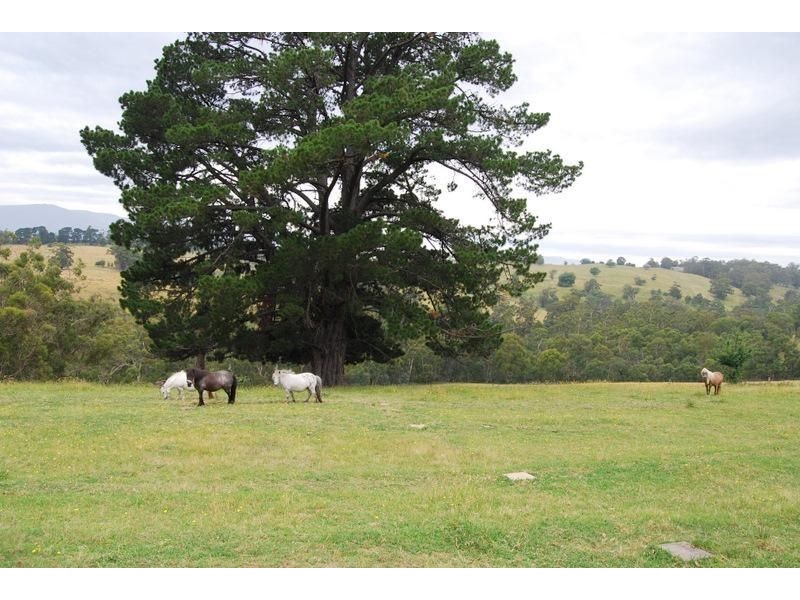 60 Longs Road, Woori Yallock VIC 3139