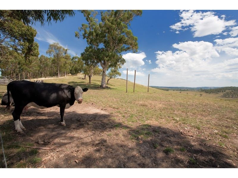 60 Longs Road, Woori Yallock VIC 3139